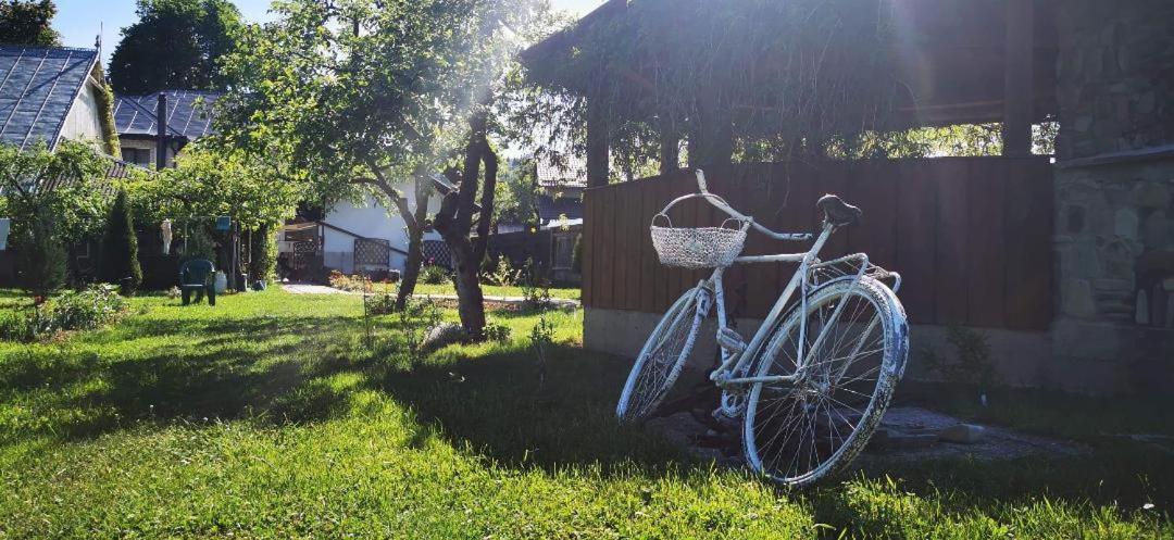 Casa Craciun Apartamento Mînăstirea Humorului Exterior foto